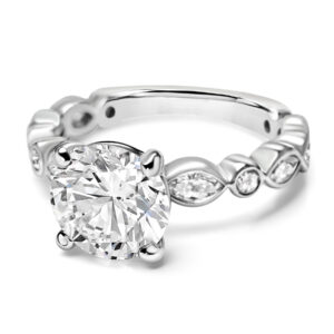 Round Brilliant Cut Diamond Engagement Ring in Platinum